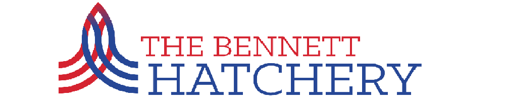 Bennett Univesity Hatchery